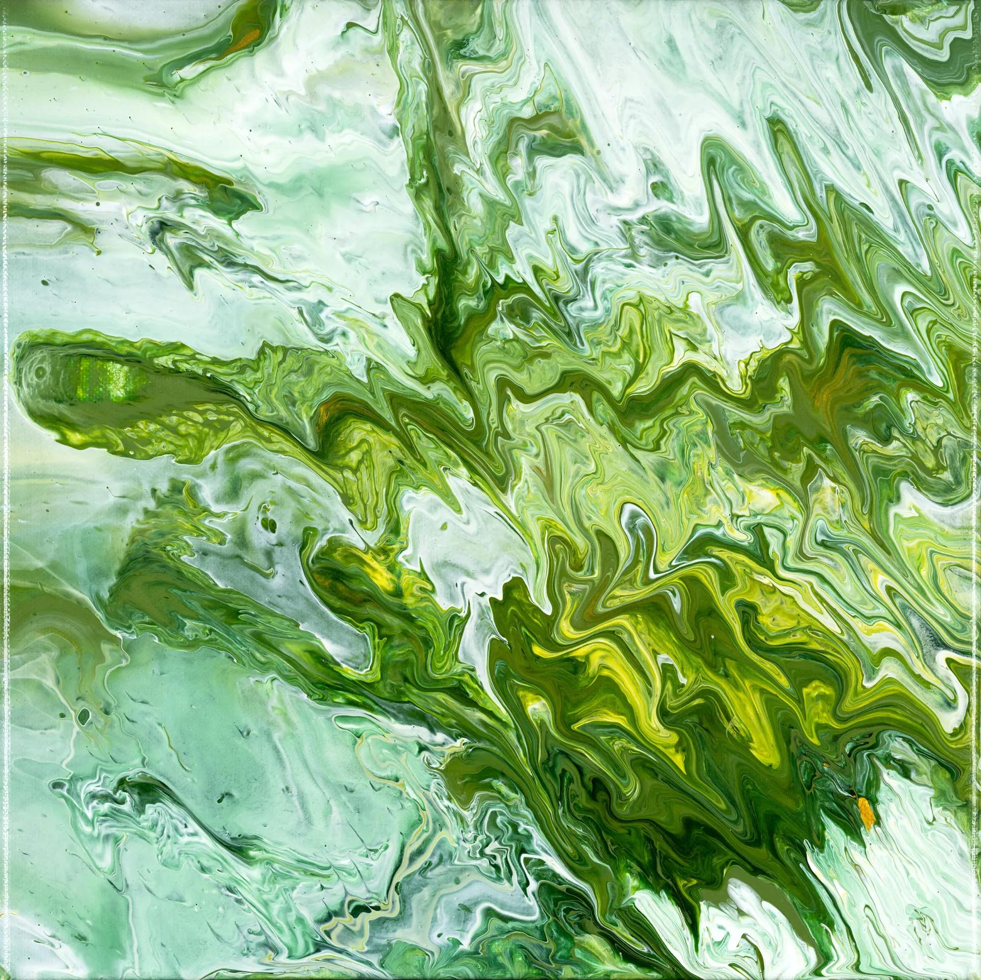 reartivated_The Green-Pink.jpg